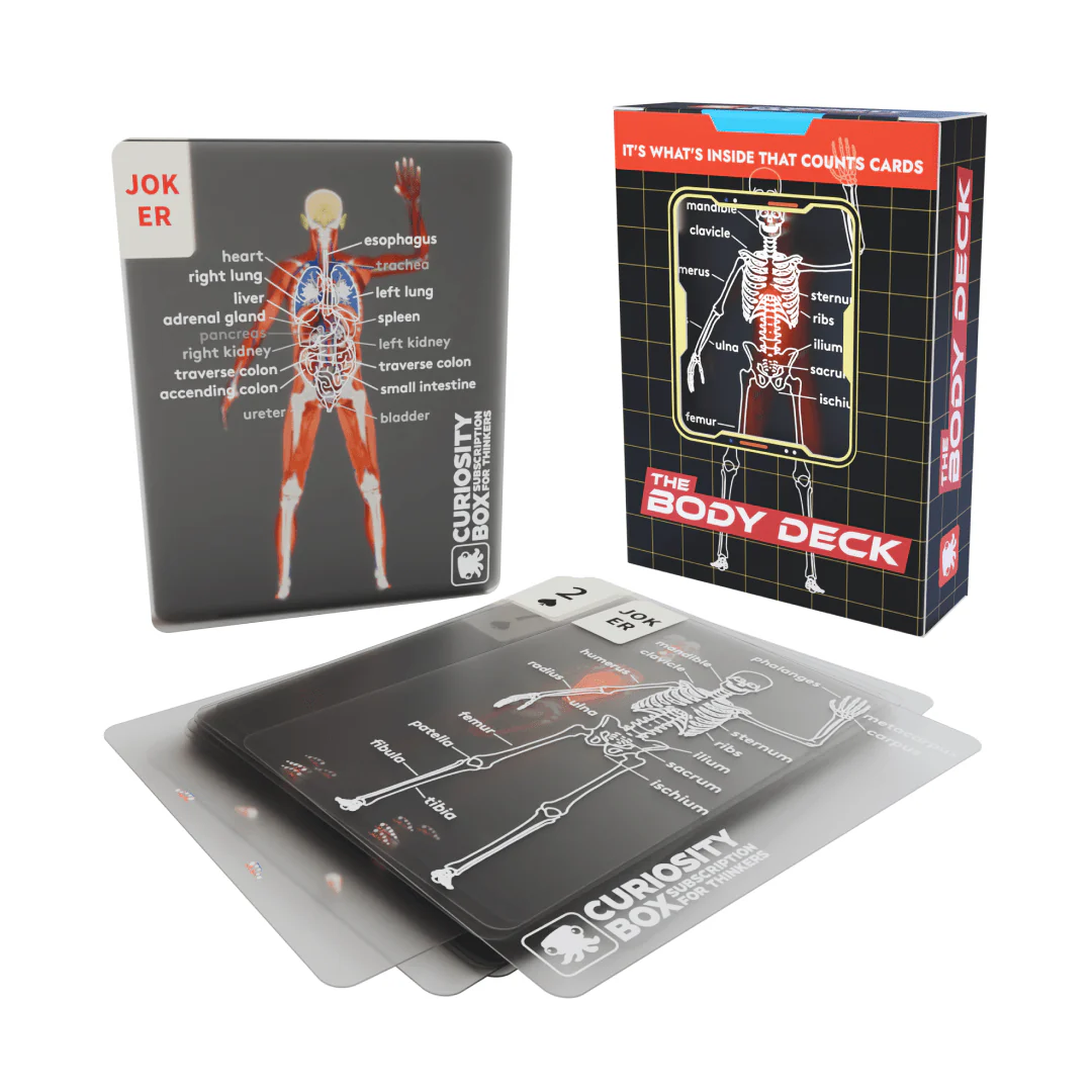 The Body Deck - Image 3